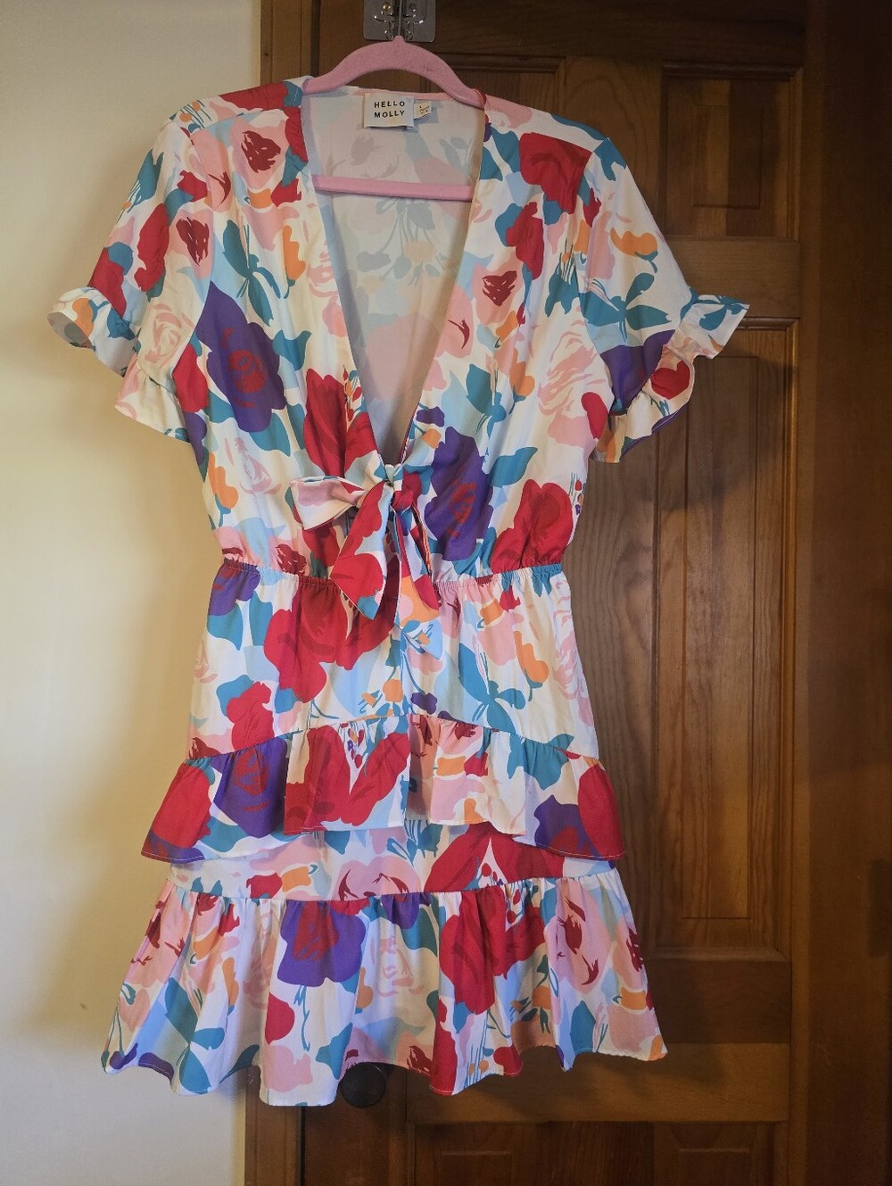 Hello Molly Multi-Color Floral Tie-Front Ruffle Mini Dress